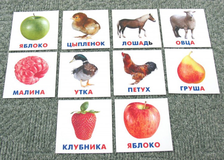 Комплект карточек (10 шт) для показа детям от 1,5 до 12 месяцев. Россия